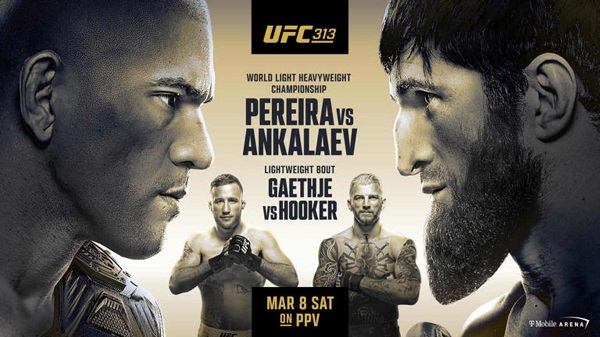 UFC 313